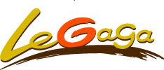 Le_gaga
