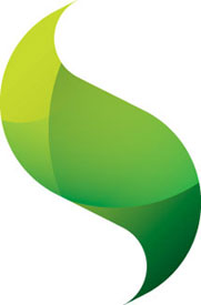 Sencha